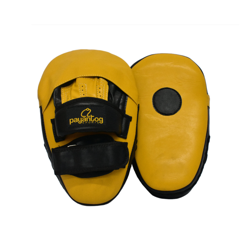 MUAY THAI MITTS COVERED - Payantog Sports