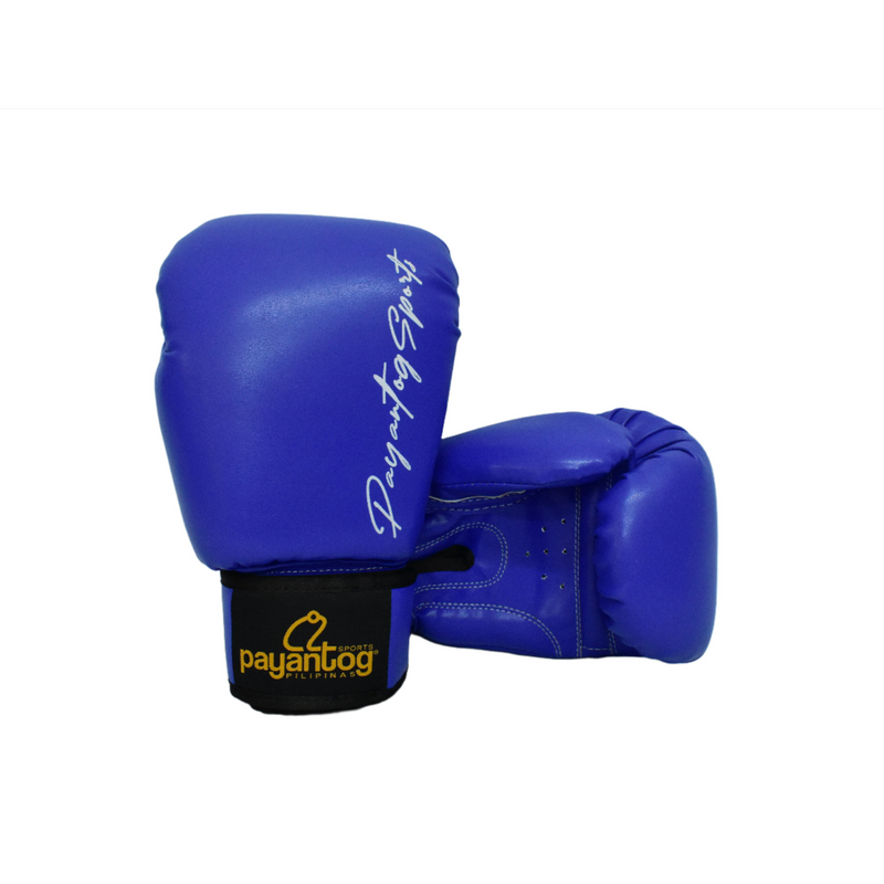 BOXING GLOVES SNAP